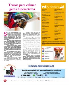 http://www.notican.com/wp-content/uploads/2017/05/Notican-Abril-jpg10-243x300.jpg