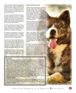 http://www.notican.com/wp-content/uploads/2017/05/Notican-Abril-jpg23-243x300.jpg