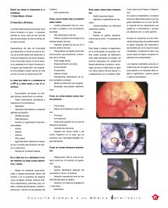 http://www.notican.com/wp-content/uploads/2017/05/Notican-Abril-jpg25-243x300.jpg
