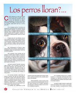 http://www.notican.com/wp-content/uploads/2017/05/Notican-Abril-jpg28-243x300.jpg