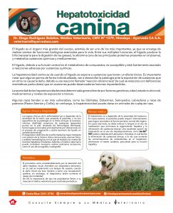 http://www.notican.com/wp-content/uploads/2017/05/Notican-Abril-jpg4-243x300.jpg