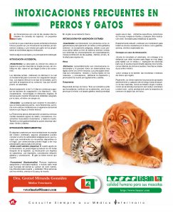 http://www.notican.com/wp-content/uploads/2017/05/Notican-Abril-jpg8-243x300.jpg
