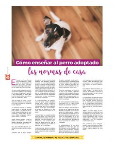 http://www.notican.com/wp-content/uploads/2018/03/Notican®-342-Achivo12-235x300.jpg