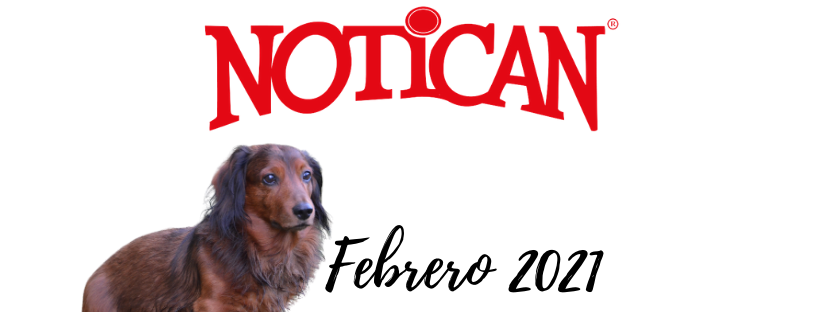 Febrero 2021