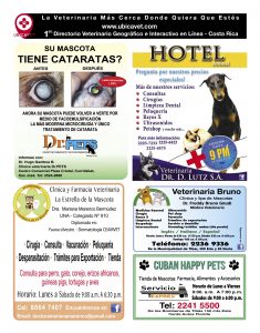 https://www.notican.com/wp-content/uploads/2017/05/17-Mayo-2017-235x300.jpg