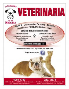 https://www.notican.com/wp-content/uploads/2017/05/19-Mayo-2017-235x300.jpg