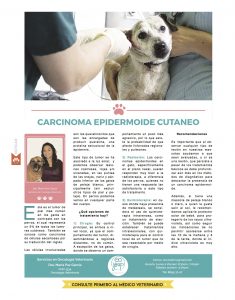 https://www.notican.com/wp-content/uploads/2017/05/20-Mayo-2017-235x300.jpg