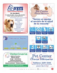 https://www.notican.com/wp-content/uploads/2017/05/Notican-Abril-24p2020-12-235x300.jpg