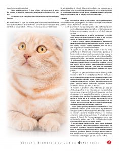 https://www.notican.com/wp-content/uploads/2017/05/Notican-Abril-24p2020-15-235x300.jpg