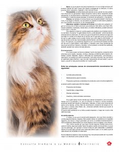 https://www.notican.com/wp-content/uploads/2017/05/Notican-Abril-24p2020-19-235x300.jpg