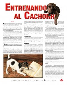 https://www.notican.com/wp-content/uploads/2017/05/Notican-Abril-24p2020-23-235x300.jpg