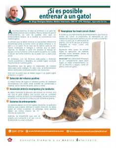 https://www.notican.com/wp-content/uploads/2017/05/Notican-Abril-24p2020-4-235x300.jpg