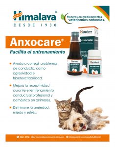 https://www.notican.com/wp-content/uploads/2017/05/Notican-Abril-24p2020-5-235x300.jpg