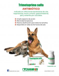 https://www.notican.com/wp-content/uploads/2017/05/Notican-Abril-24p2020-9-235x300.jpg