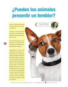 https://www.notican.com/wp-content/uploads/2017/05/Notican-Enero-201912-235x300.jpg