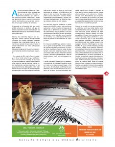 https://www.notican.com/wp-content/uploads/2017/05/Notican-Enero-201913-235x300.jpg