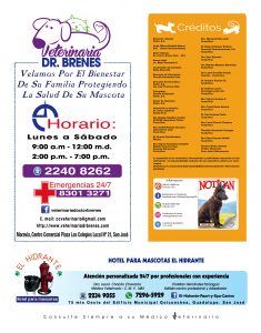 https://www.notican.com/wp-content/uploads/2017/05/Notican-Enero-201918-235x300.jpg