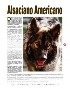 https://www.notican.com/wp-content/uploads/2017/05/Notican-Enero-201919-235x300.jpg