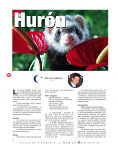 https://www.notican.com/wp-content/uploads/2017/05/Notican-Enero-201926-1-235x300.jpg