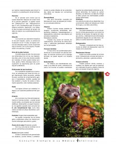 https://www.notican.com/wp-content/uploads/2017/05/Notican-Enero-201927-1-235x300.jpg