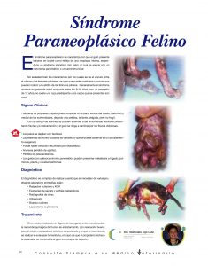https://www.notican.com/wp-content/uploads/2017/05/Notican-Enero-201930-1-235x300.jpg