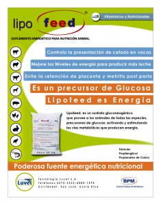 https://www.notican.com/wp-content/uploads/2017/05/Notican-Enero-201931-1-235x300.jpg