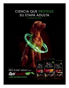 https://www.notican.com/wp-content/uploads/2017/05/Notican-Enero-201932-1-235x300.jpg