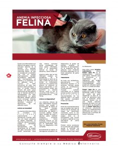https://www.notican.com/wp-content/uploads/2017/05/Notican-Enero-20196-235x300.jpg