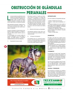 https://www.notican.com/wp-content/uploads/2017/05/Notican-Enero-20198-235x300.jpg