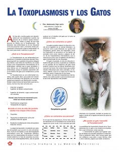 https://www.notican.com/wp-content/uploads/2017/05/Notican-Junio-24p2020-6-235x300.jpg