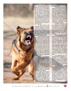 https://www.notican.com/wp-content/uploads/2017/05/Notican-Mayo-24p2020-23-235x300.jpg