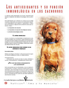 https://www.notican.com/wp-content/uploads/2017/05/Notican-marzo-24-p.-2021-10-235x300.jpg