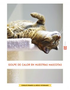 https://www.notican.com/wp-content/uploads/2017/05/Notican®-34311-235x300.jpg