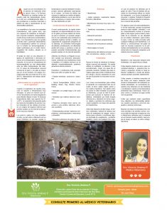 https://www.notican.com/wp-content/uploads/2017/05/Notican®-34312-235x300.jpg