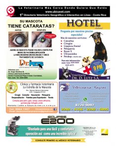 https://www.notican.com/wp-content/uploads/2017/05/Notican®-34317-235x300.jpg