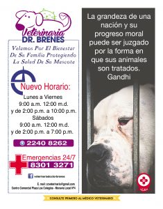 https://www.notican.com/wp-content/uploads/2017/05/Notican®-34318-235x300.jpg