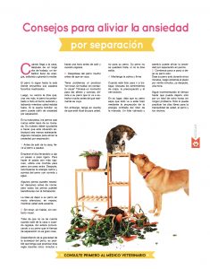 https://www.notican.com/wp-content/uploads/2017/05/Notican®-34319-235x300.jpg
