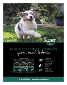 https://www.notican.com/wp-content/uploads/2017/05/Notican®-34332-235x300.jpg