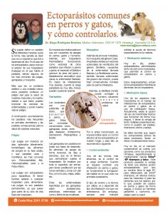 https://www.notican.com/wp-content/uploads/2017/05/Notican®-3434-235x300.jpg