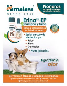 https://www.notican.com/wp-content/uploads/2017/05/Notican®-3435-235x300.jpg