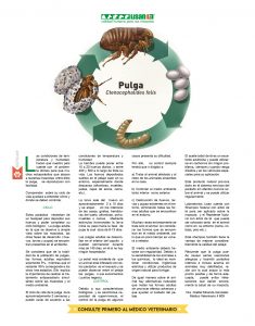 https://www.notican.com/wp-content/uploads/2017/05/Notican®-3438-235x300.jpg