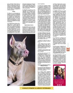 https://www.notican.com/wp-content/uploads/2017/06/15-Febrero-2017-235x300.jpg