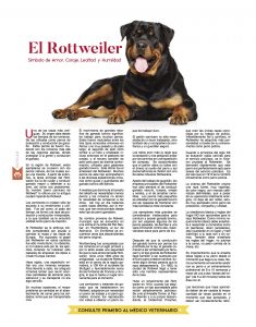 https://www.notican.com/wp-content/uploads/2017/06/22-Febrero-2017-235x300.jpg