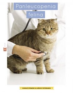 https://www.notican.com/wp-content/uploads/2017/06/26-Febrero-2017-235x300.jpg
