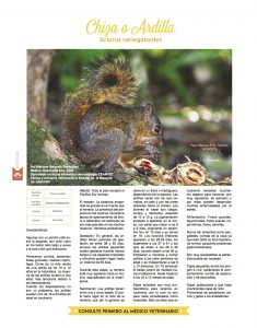 https://www.notican.com/wp-content/uploads/2017/06/28-Febrero-2017-235x300.jpg
