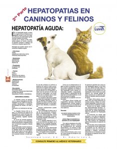 https://www.notican.com/wp-content/uploads/2017/06/30-Febrero-2017-235x300.jpg
