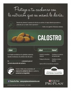 https://www.notican.com/wp-content/uploads/2017/06/32-Febrero-2017-235x300.jpg