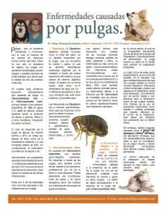 https://www.notican.com/wp-content/uploads/2017/06/5-Febrero-2017-235x300.jpg
