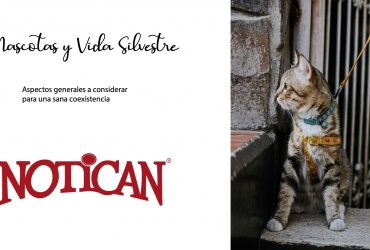 Mascotas y Vida Silvestre: Aspectos generales a considerar para una sana coexistencia