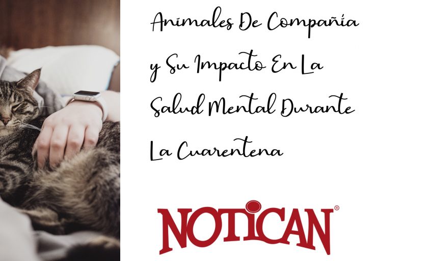 Animales de Compañía y su impacto en la Salud Mental durante la Cuarentena